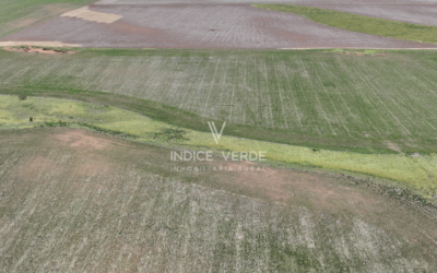 GRAL. PAUNERO 260 HA